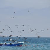  Ecuador